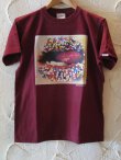 画像1: INTERFACExFeelFORCE/CANDY S/S TEE  BURGUNDY