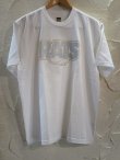 画像1: RATS/GLITTER BOX LOGO T  WHITE