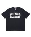 画像2: ROTTWEILER/2 LINE B.D TEE  BLACK